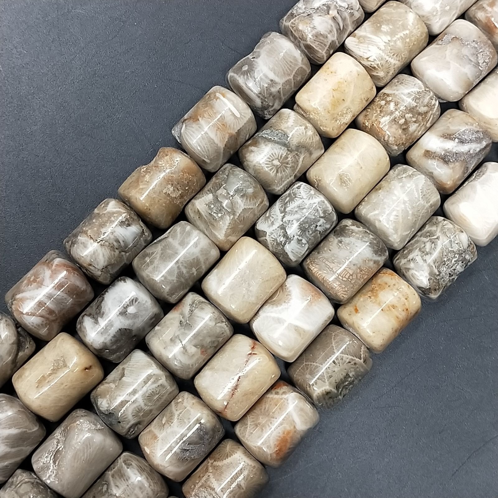 Corallo Fossile Perline Forma Cilindro Liscio 10x14mm