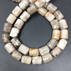 Corallo Fossile Perline Forma Cilindro Liscio 10x14mm