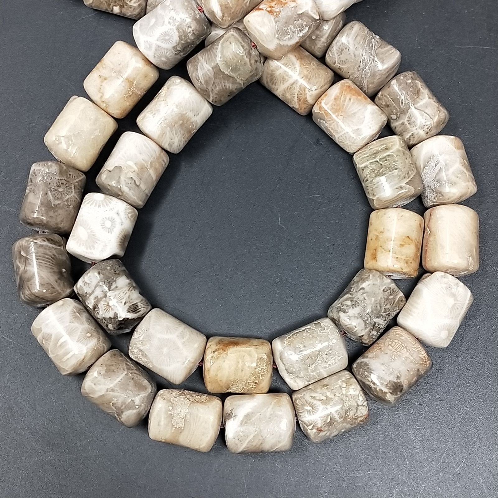 Corallo Fossile Perline Forma Cilindro Liscio 10x14mm