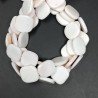 Conchiglia Rosa Naturale Perline Forma Quadrato Liscio Foro Passante 15-19mm