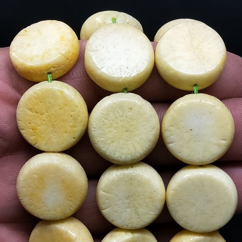 Corallo Bamboo Spugna Limone Tondo Piatto Liscio 20mm