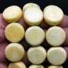 Corallo Bamboo Spugna Limone Tondo Piatto Liscio 20mm
