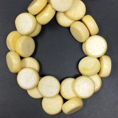 Corallo Bamboo Spugna Limone Tondo Piatto Liscio 20mm