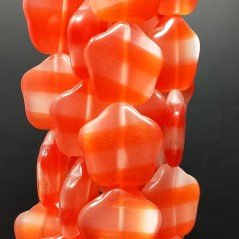 Cristallo Arancio a Strisce Perline Forma Fiori Liscio Foro Passante 22X21mm