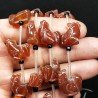 Corniola Rossa Naturale Perline Forma Tartaruga Foro Passante 15-17X16mm