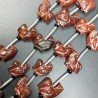 Corniola Rossa Naturale Perline Forma Tartaruga Foro Passante 15-17X16mm