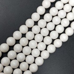 Corallo Bamboo Spugna Bianco Perline Forma Tondo Liscio 10mm Corallo Bamboo Spugna Bianco Perline Forma Tondo Liscio 10mm