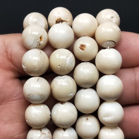 Conchiglia BeigePerline Forma Tondo Liscio 12mm