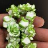 Resina Perline Verde Bianco Forma Rosa Inciso Liscio Foro Passante 21mm