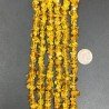 Cristallo Giallo Citrino Perline Forma Chips Liscio