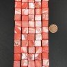 Madreperla Tonalità Corallo Perline Forma Quadrato Piatto Liscio Foro Passante 12mm