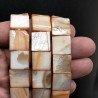 Madreperla Tonalità Marrone Chiaro Perline Forma Quadrato Piatto Liscio Foro Passante 15mm