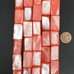 Madreperla Tonalità Corallo Perline Forma Rettangolare Piatto Liscio Foro Passante 12-13x22-23mm