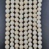 Corallo Beige Perline Forma Tondo Liscio 08mm