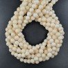 Corallo Beige Perline Forma Tondo Liscio 08mm