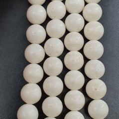 Corallo Bamboo Spugna Bianco Perline Forma Tondo Liscio 08mm