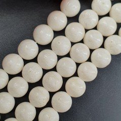 Corallo Bamboo Spugna Bianco Perline Forma Tondo Liscio 08mm