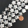 Aulite Bianca Perline Forma Fiori Liscio Foro Passante 15mm