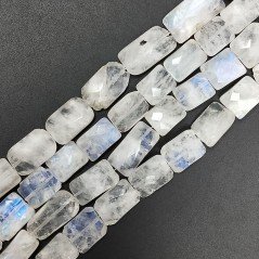 Labradorite Naturale in Perline Forma Rettangolare Piatto Sfaccettato Foro Passante 08-10X12-14mm