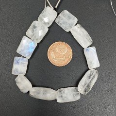 Labradorite Naturale in Perline Forma Rettangolare Piatto Sfaccettato Foro Passante 08-10X12-14mm