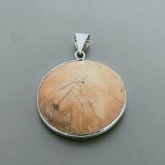 Ciondolo Di Argento 925 con Fossile Grezzo