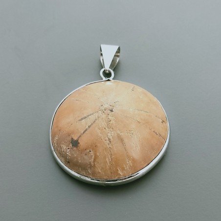 Ciondolo Di Argento 925 con Fossile Grezzo