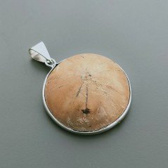 Ciondolo Di Argento 925 con Fossile Grezzo