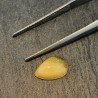 Opale Etiope 'Welo' Naturale Forma Goccia Piatto Cabochon Liscio Fatto a Mano 6x10x4mm 1,05 Carati 1pz