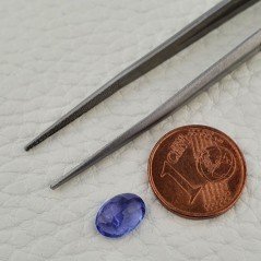 Tanzanite Naturale Taglio Ovale Sfaccettata Fatto a Mano Gemma Sciolta 6x9mm 1,70 Carati 1pz