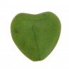 Aulite Forma Cuore 14mm-Verde 1pz
