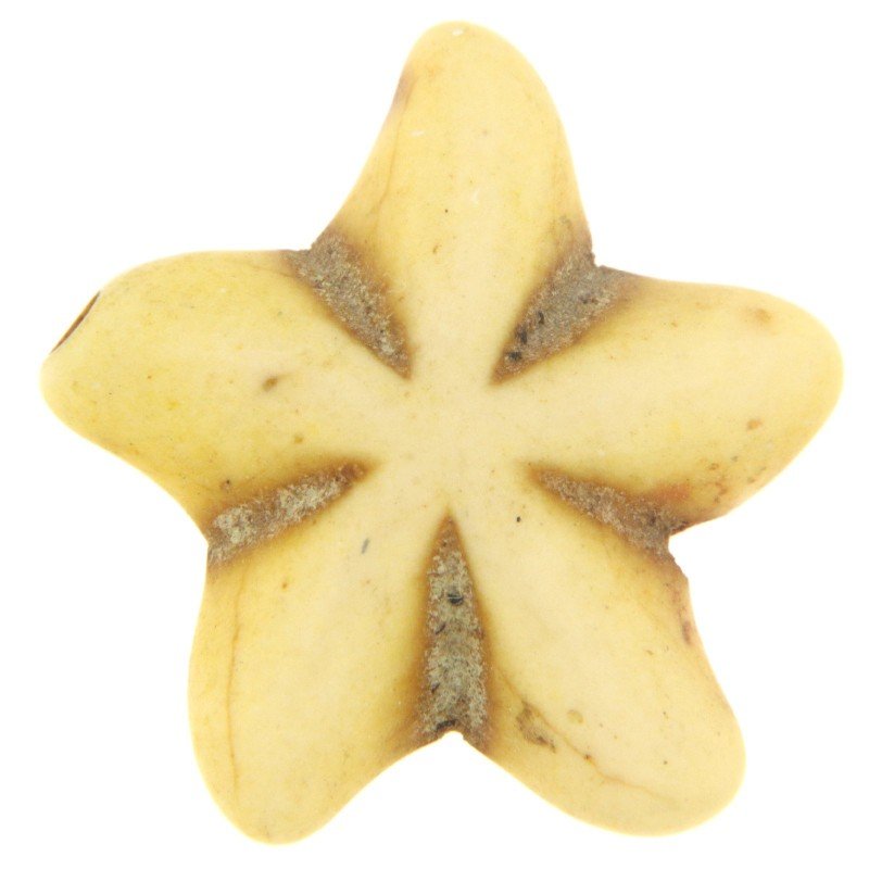 Aulite Forma Stella Marina 18mm-Giallo 1pz