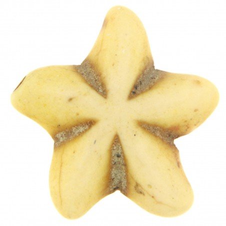 Aulite Forma Stella Marina 18mm-Giallo 1pz