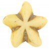 Aulite Forma Stella Marina 18mm-Giallo 1pz