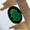 Tormalina Verde Idrotermale Taglio Cupola Ovale Sfaccettata a Mano Gemma Sciolta 17X12X7mm 9,00+ Carati 1pz