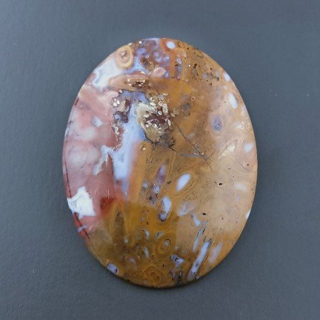 Agata Radice di Palma Naturale Forma Ovale Piatto Cabochon Liscio Fatto a Mano 34X25mm 6.9gm 1pz