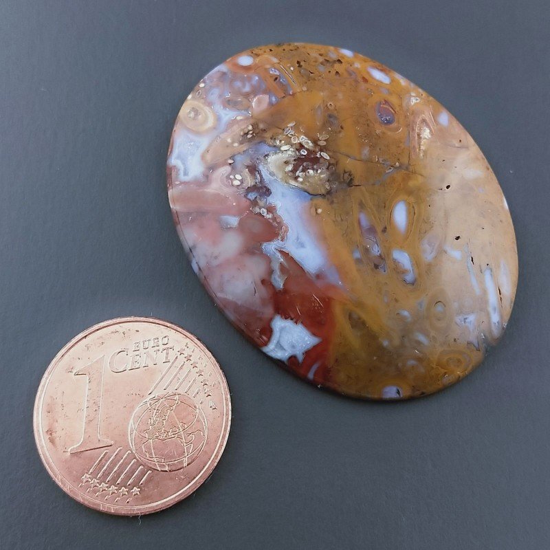 Cabochon di Agata Radice di Palma Naturale Ovale, Piatto e Liscio, 34x25 mm, 6,9 g, Fatto a Mano
