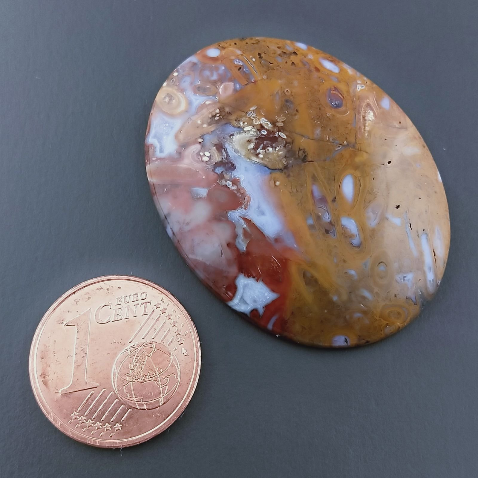 Agata Radice di Palma Naturale Forma Ovale Piatto Cabochon Liscio Fatto a Mano 34X25mm 6.9gm 1pz