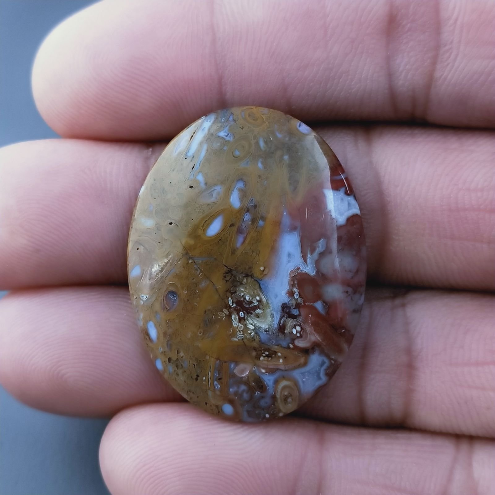 Agata Radice di Palma Naturale Forma Ovale Piatto Cabochon Liscio Fatto a Mano 34X25mm 6.9gm 1pz