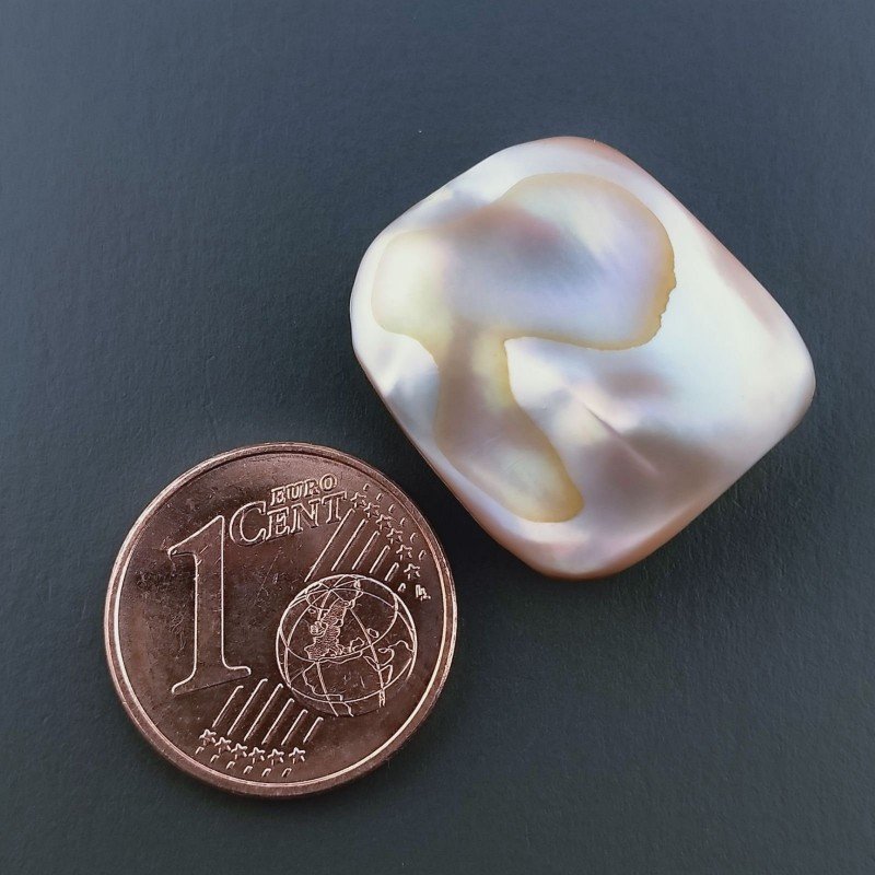 Madreperla, Forma Irregolare, Piatto e Liscio, 19x16x6 mm, 16,85 ct, Fatto a Mano