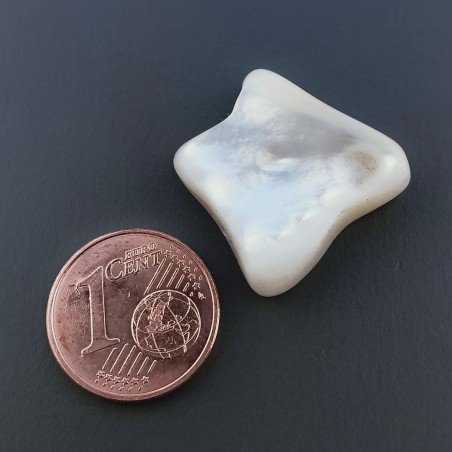 Madreperla Forma Irregolare Piatto Liscio A Mano 18X19X4mm 14,05 Carati 1pz