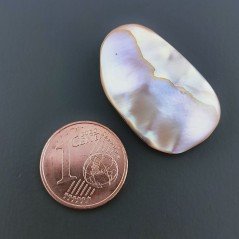 Madreperla Forma Irregolare Piatto Liscio A Mano 26X15X6mm 18,90 Carati 1pz