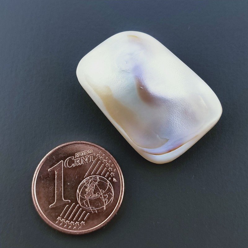 Madreperla, Forma Irregolare, Piatto e Liscio, 24x17x6 mm, 19,75 ct, Fatto a Mano