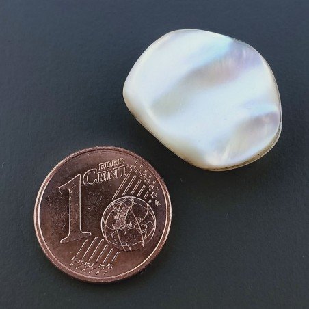 Madreperla Forma Irregolare Piatto Liscio A Mano 19X15X5mm 12,50 Carati 1pz