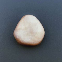 Madreperla Forma Irregolare Piatto Liscio A Mano 20X19X6mm 14,20 Carati 1pz