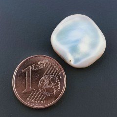 Madreperla Forma Irregolare Piatto Liscio A Mano 16X15X3mm 8,20 Carati 1pz