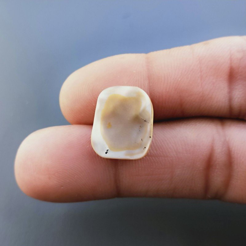 Madreperla Forma Irregolare Piatto Liscio A Mano 16X13X5mm 8,95 Carati 1pz