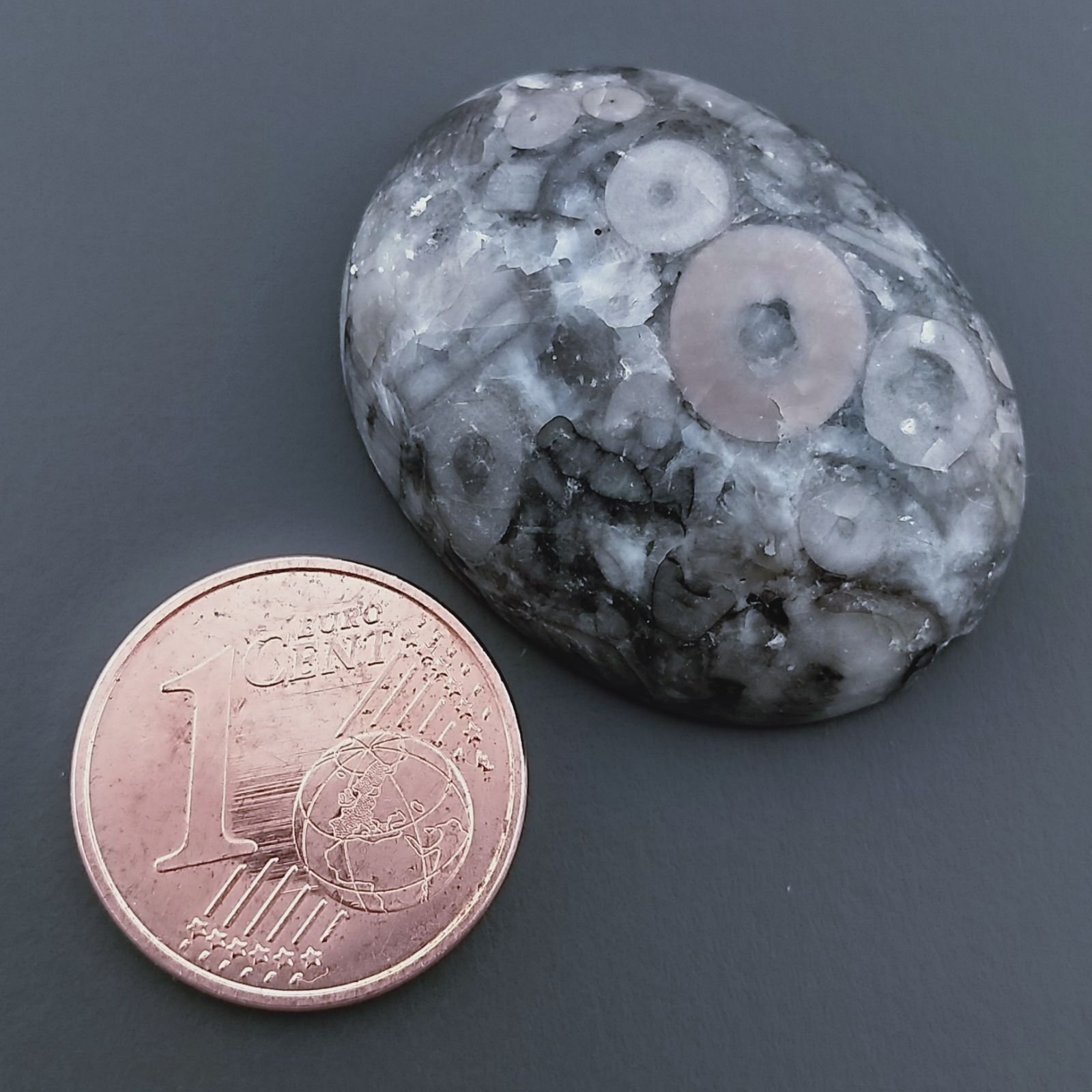 Diaspro Zebrato Marrone Naturale Forma Ovale Piatto Cabochon Liscio Fatto a Mano 27X20x7mm 7,11gm 1pz