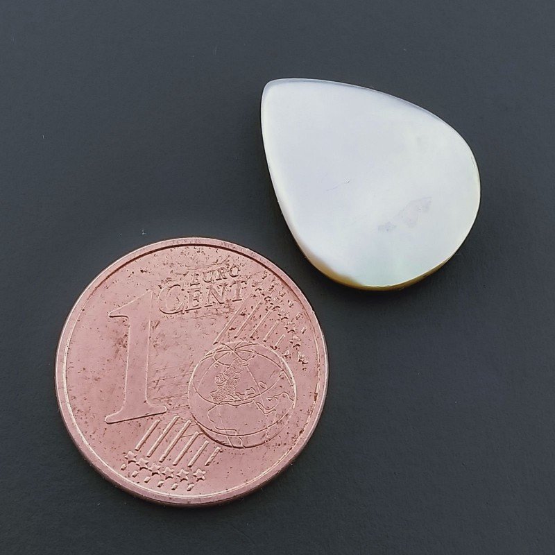 Madreperla, Forma Goccia, Piatto e Liscio, 15x12x3 mm, 5,00 ct, Fatto a Mano