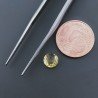 Quarzo Citrino Idrotermale Tondo Briolette Sfaccettato A Mano 6X6X3mm 1CT