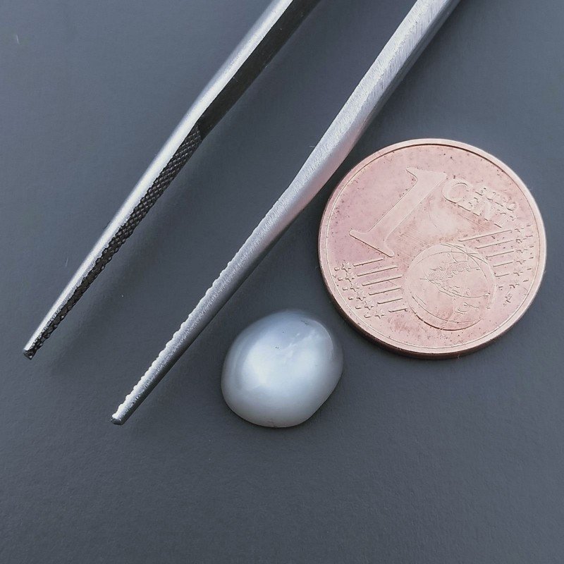 Pietra Di Luna Grigia Naturale Forma Ovale Piatto Cabochon Liscio Fatto a Mano 9X8X4mm 2,50 Carati 1pz